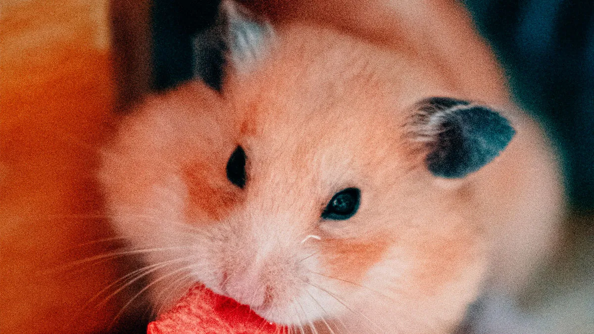 30 People Share What Happened After Their Landlord Came Across Their Non-Existent Pet