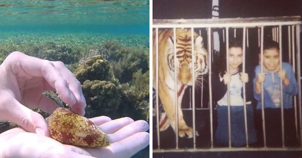 31 Personas que hicieron una foto de algo sin darse cuenta de lo peligroso que era