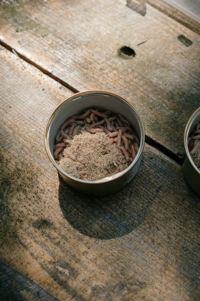 30 Doctors Share The Weirdest And Most Disgusting Things Found In People’s Bodies