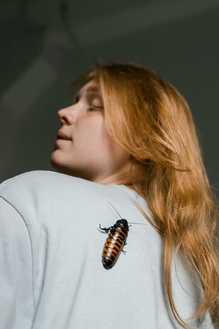 A cockroach on a woman's shoulder, representing disturbing discoveries doctors encounter.