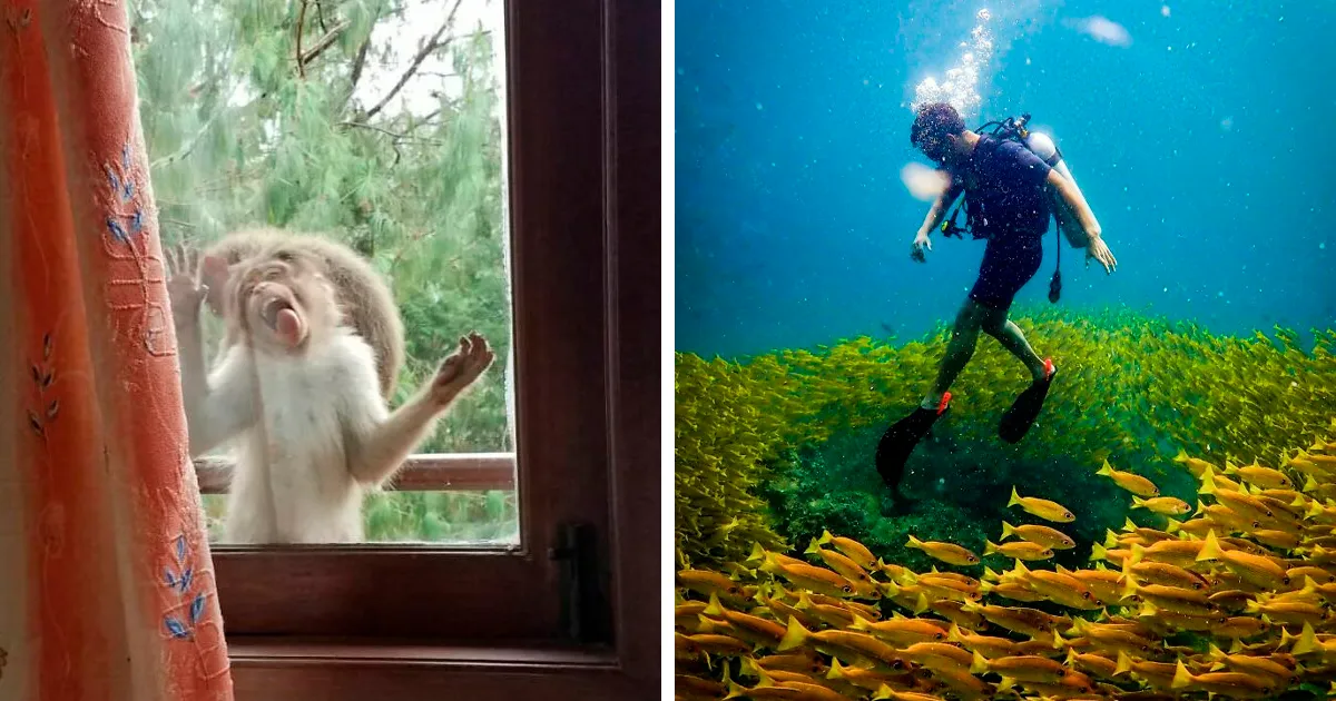36 Personas que menos mal que hicieron una foto o nadie les habría creído