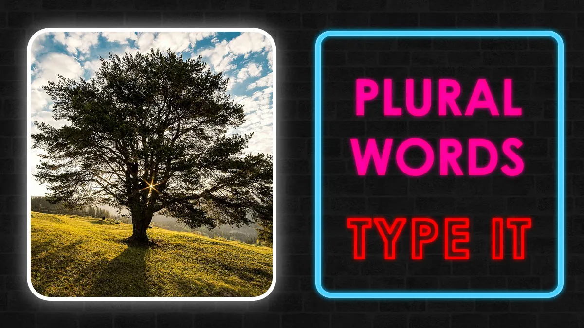 This 25-Word Quiz Will Expose Whether You Actually Understand English Plurals