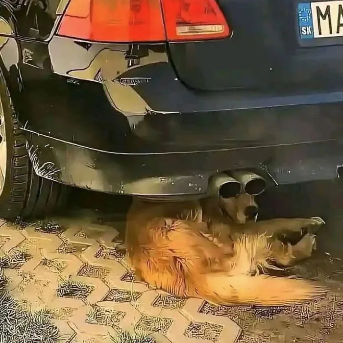30 Random Images That Don’t Need To Make Sense To Be Funny