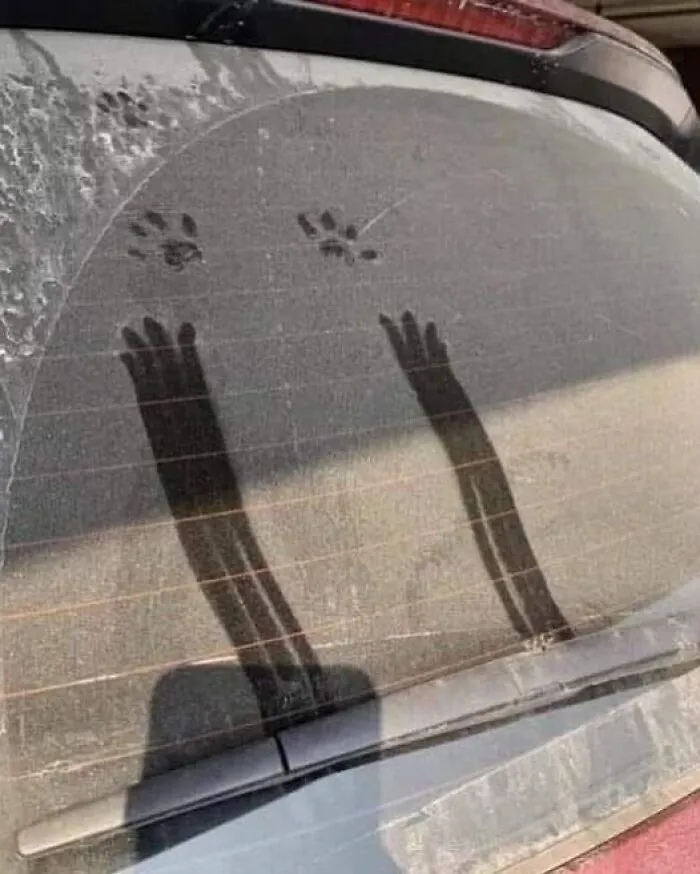 Dusty car window with adorable paw prints and hand marks, adding a sprinkle of joy to a random cool day.