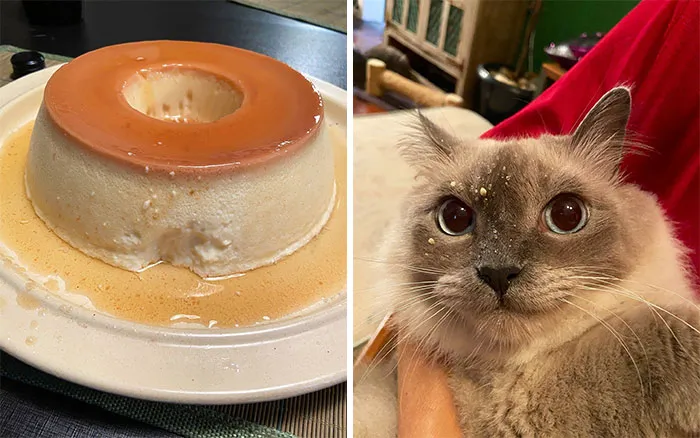 Never Leave Food Unattended