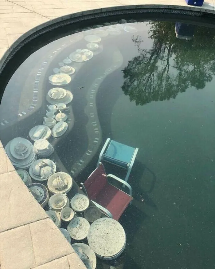 Someone Submerged Their Fine China Underwater To Protect It From Wildfires, And It Survived
