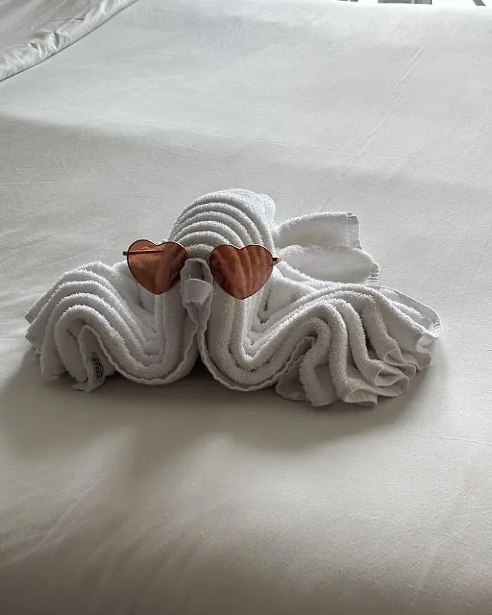 Sometimes, Hotel Staff Will Surprise Guests By Folding Towels Into Animals While They’re Away