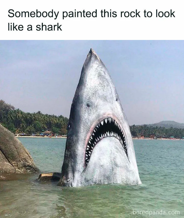 50 Random And Relatable Memes That Might Make You Laugh (New Pics)
