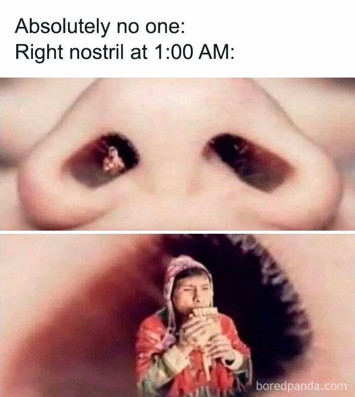 50 Random And Relatable Memes That Might Make You Laugh (New Pics)