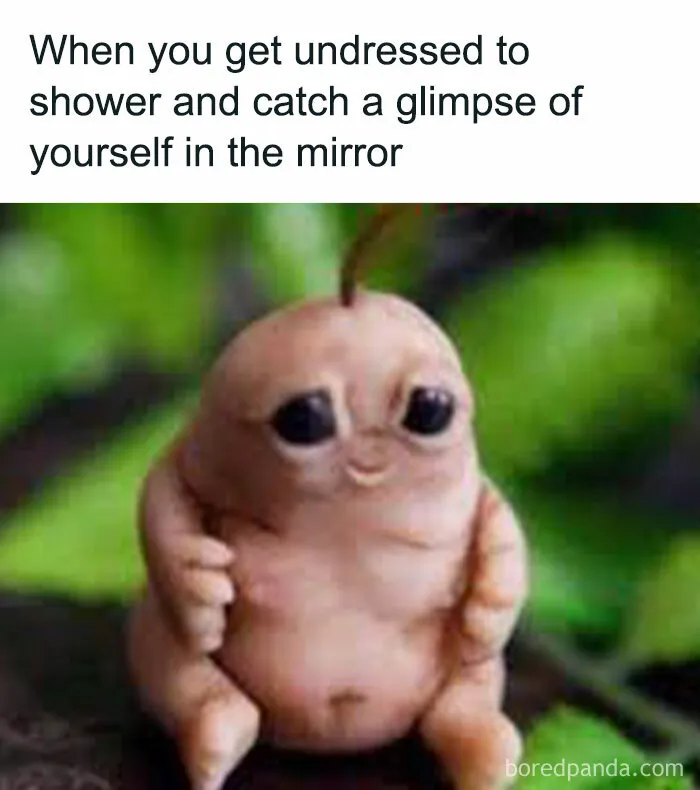 “The Most Relatable Memes All In One Place!”: 30 Funny Memes Shared On This IG Page