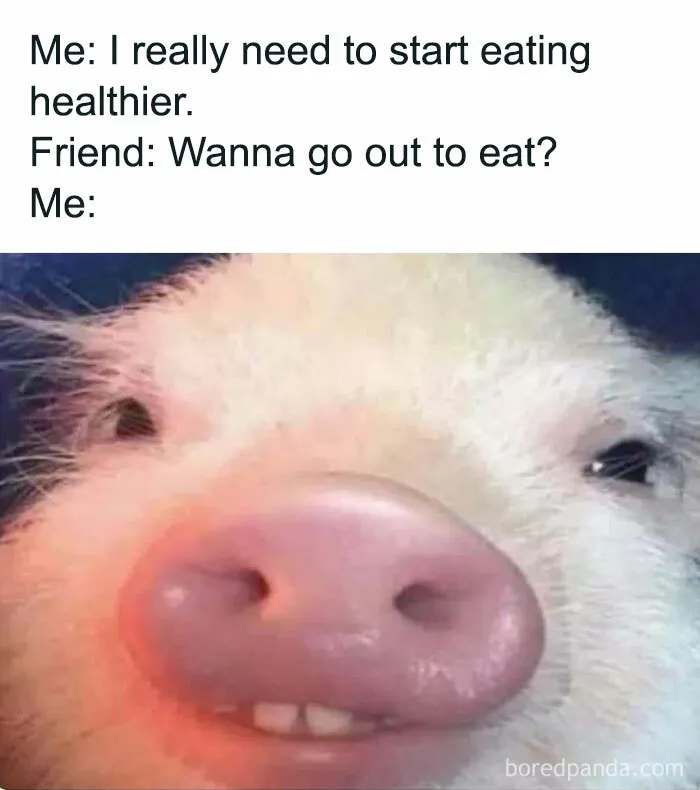 “The Most Relatable Memes All In One Place!”: 30 Funny Memes Shared On This IG Page