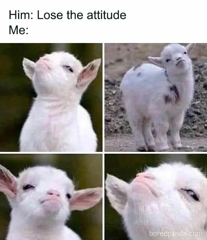 “The Most Relatable Memes All In One Place!”: 30 Funny Memes Shared On This IG Page