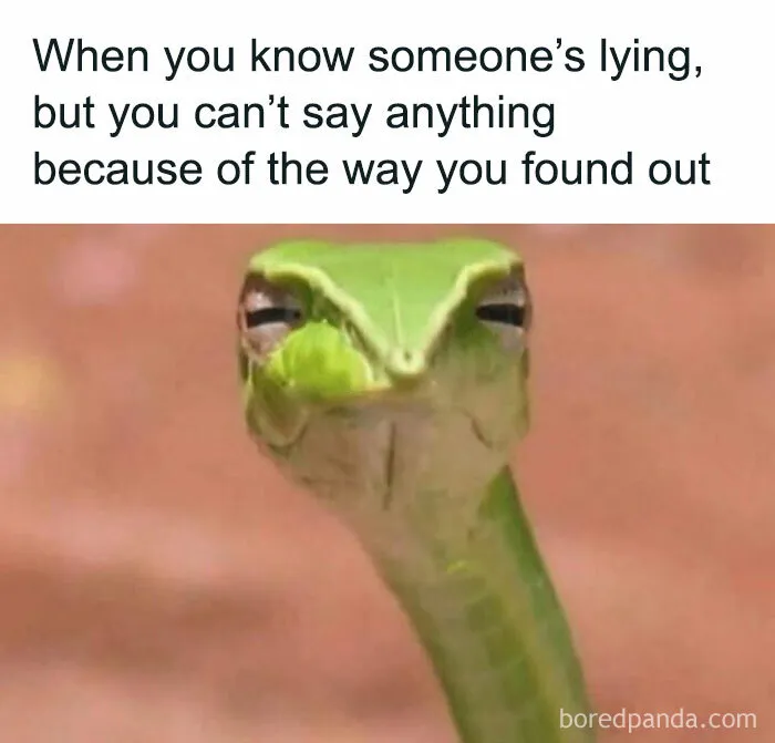 “The Most Relatable Memes All In One Place!”: 30 Funny Memes Shared On This IG Page