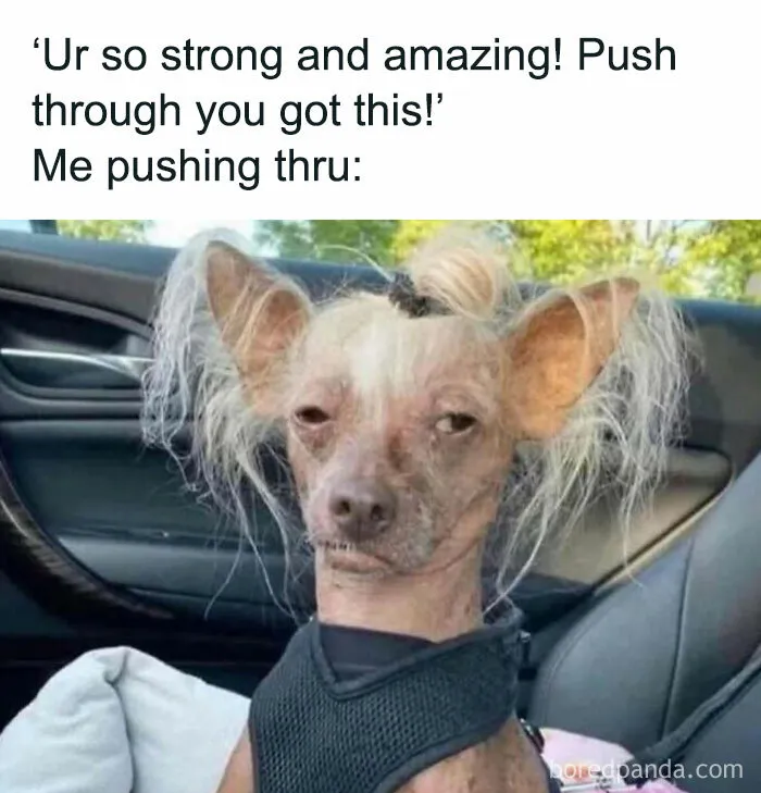 “The Most Relatable Memes All In One Place!”: 30 Funny Memes Shared On This IG Page