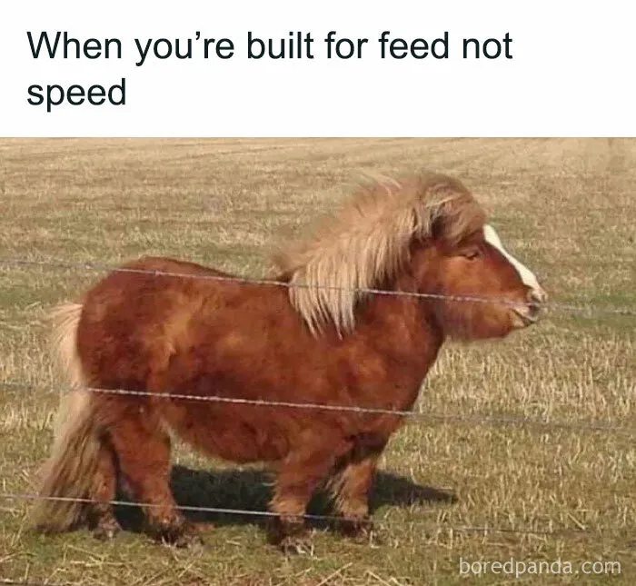 “The Most Relatable Memes All In One Place!”: 30 Funny Memes Shared On This IG Page