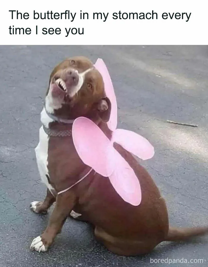 “The Most Relatable Memes All In One Place!”: 30 Funny Memes Shared On This IG Page