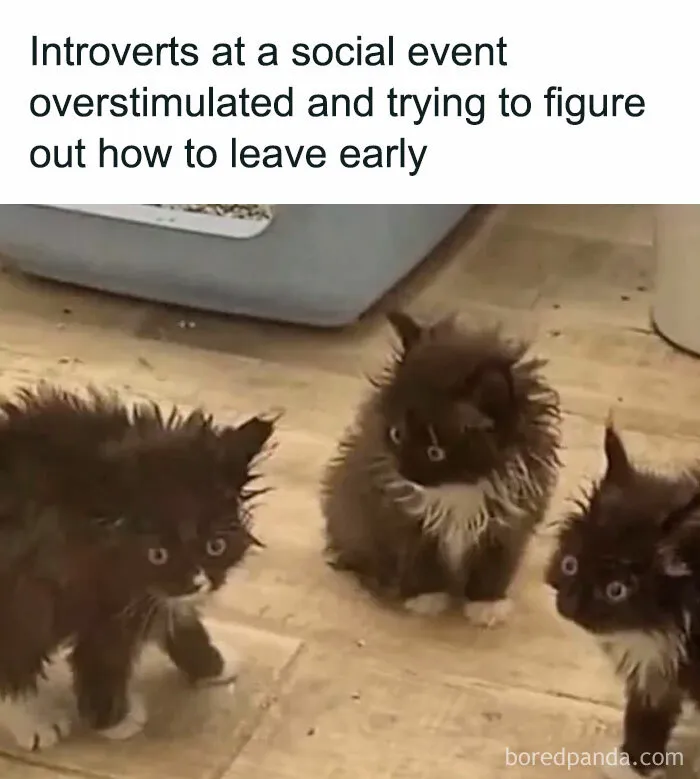 50 Funny And Relatable Memes To Scroll Through While Your Social Battery Is Charging (New Pics)