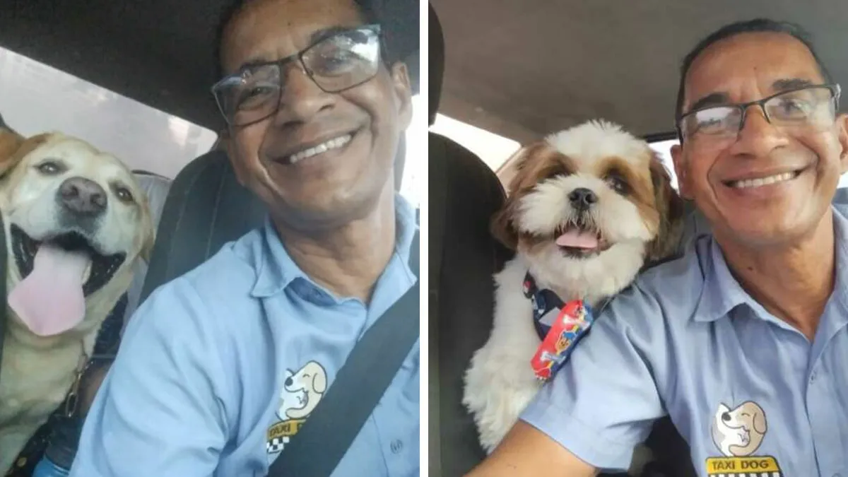 33 Times This “Pet Taxi” Driver Has Taken Cute Selfies With His Furry Customers (New Pics)
