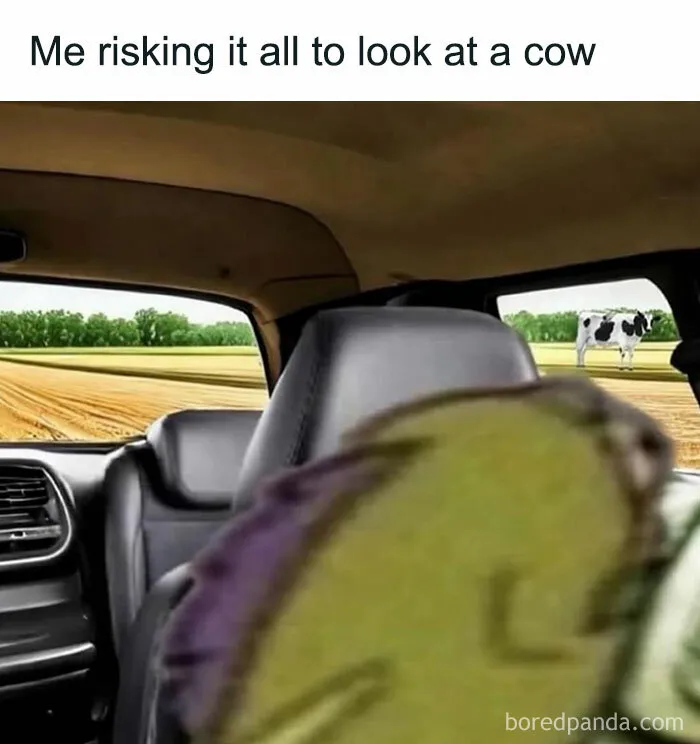 Meme showing a blurred character looking out a car window at a cow in a field, funny and random shower thoughts.