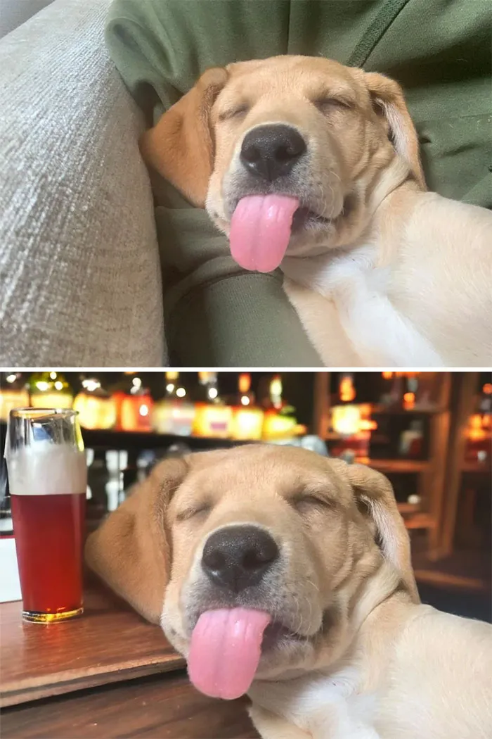 Anyone Able To Photoshop Either Of These Pictures To Anything Funny?