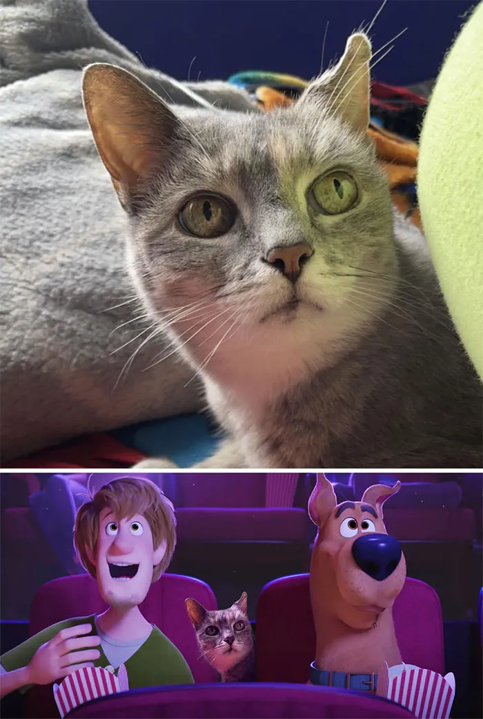 Can Anyone Edit The Photo To Add The Cat And A Scooby Doo Collab Or Theme In One?