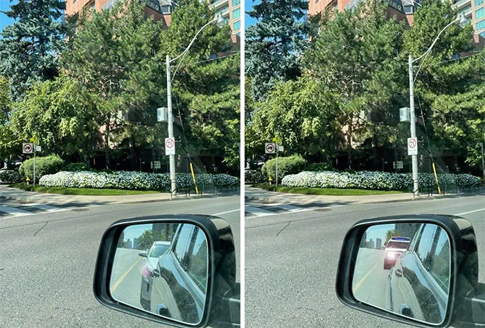 My Mom Sent Me This Photo Of Flowers She Wants. Can Someone Please Put Lights On The Car Behind Her To Make It Look Like She Got Pulled Over. My Dad Will Get All Rialed Up Thinking She Got Pulled Over And It Will Be Hilarious