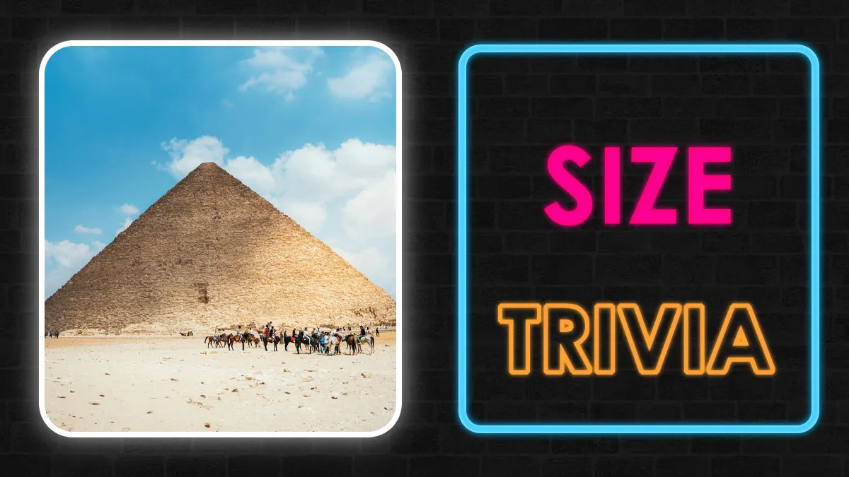 We Give You 23 Pairs, And You Have To Choose The Right Answer Based On Their Size: Extremely Hard