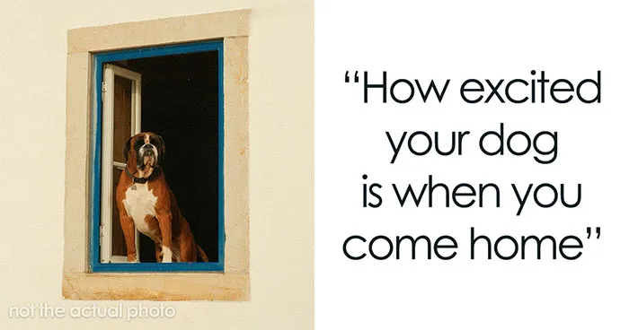 27 Small Joys People Forget To Appreciate, According To Our Community