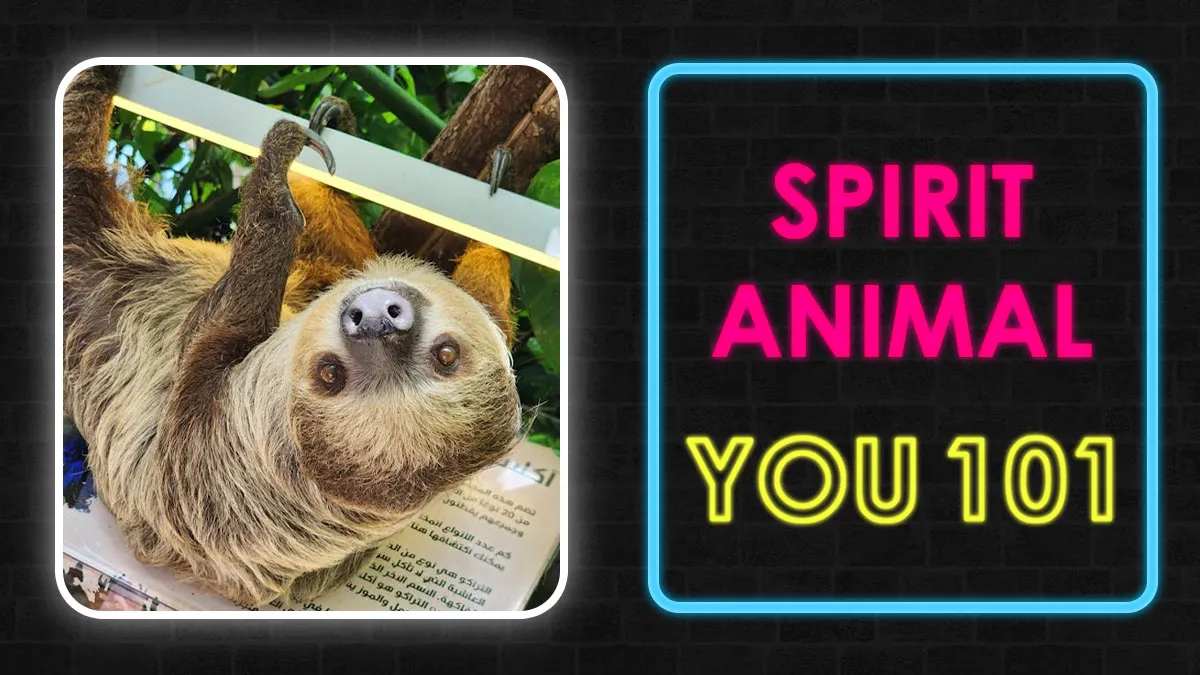 ”What’s Your Spirit Animal?” Uncover It By Answering 25 Fun Questions