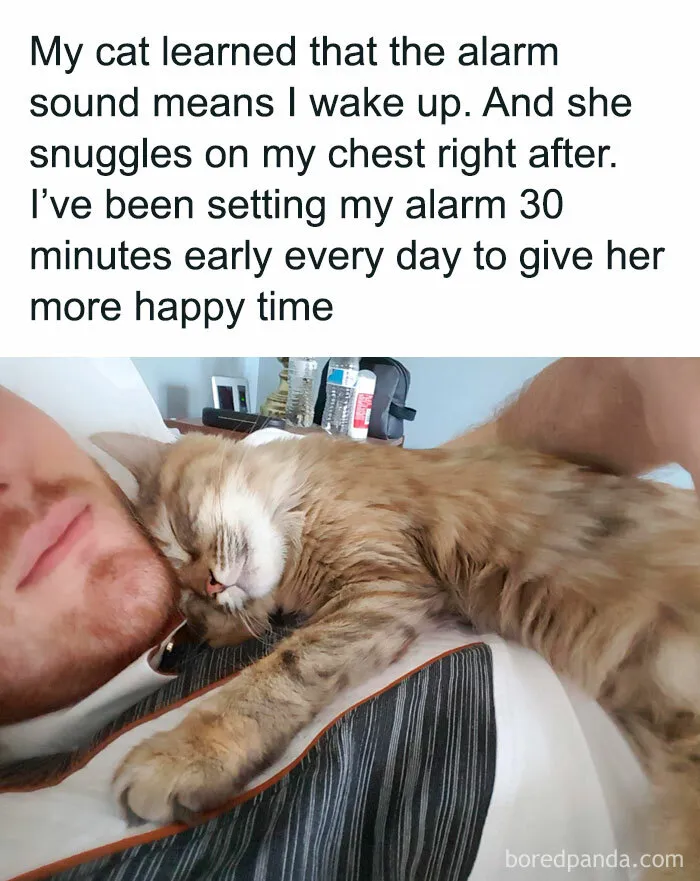 Very Sweet