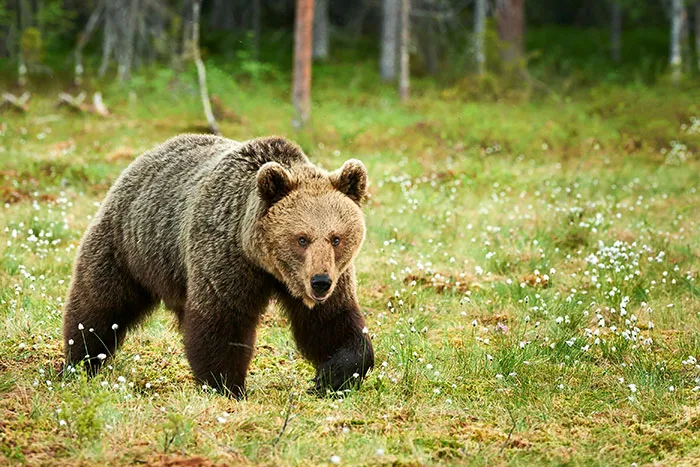 44 Facts That Might Actually Save Your Life One Day