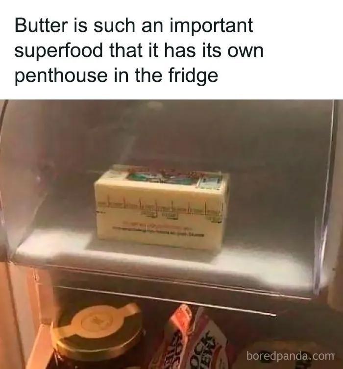 ‘The Daily Laughs’: 50 Ridiculously Good Memes To Improve Your Day
