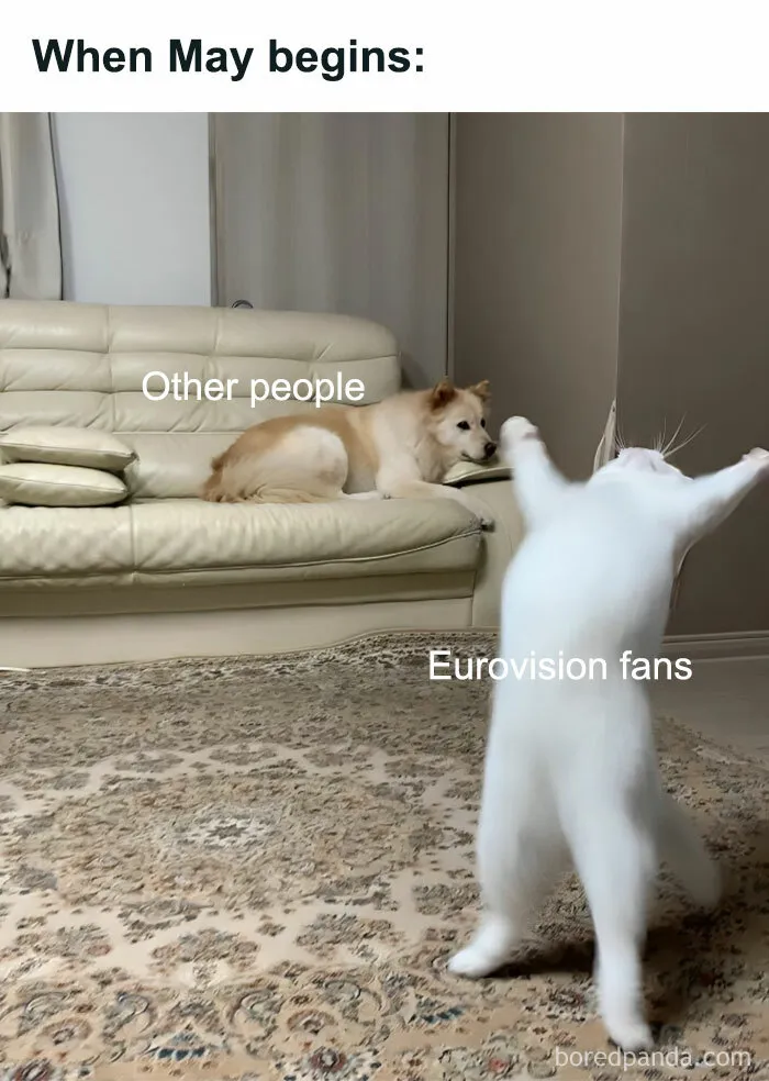 71 Funny And Savage Memes From Eurovision Fans Who Are Still Recovering From This Year’s Spectacle
