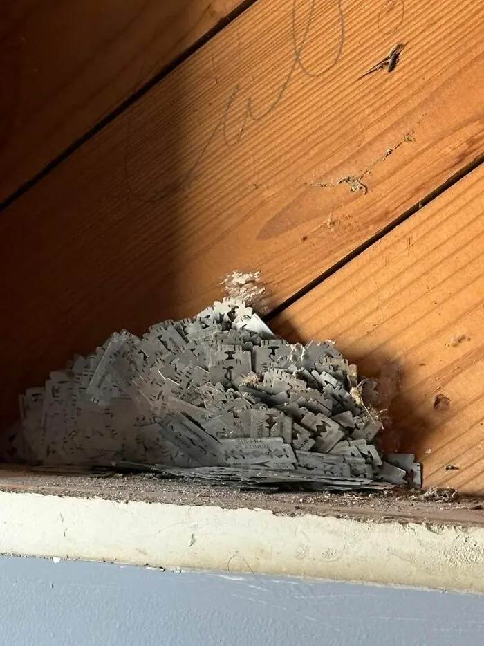 Found Inside The Wall. Guess Which Room