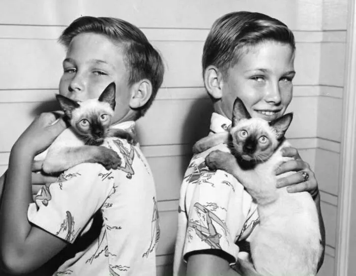 47 Adorable Vintage Photos Showcasing The Timeless Bond Between Kids And Cats, As Collected By This Page