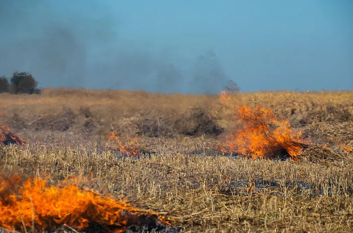 "I Started A Dumpster Fire": 25 Big Ways Folks Messed Up That They'll Only Reveal On Their Deathbed
