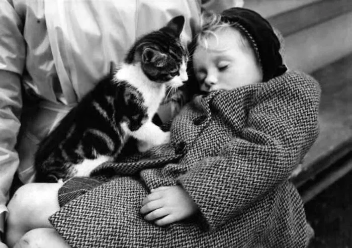 47 Adorable Vintage Photos Showcasing The Timeless Bond Between Kids And Cats, As Collected By This Page