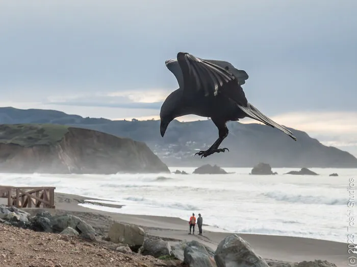 Jurassic Park 7