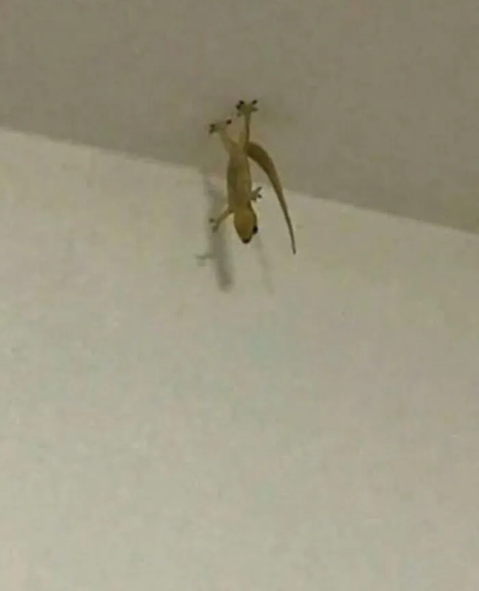 “Disturbing Zone”: 50 Pics From This Instagram Page That’s Dedicated To Sharing Weird Things