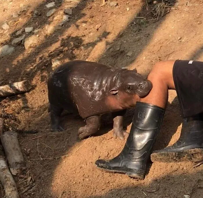“Disturbing Zone”: 50 Pics From This Instagram Page That’s Dedicated To Sharing Weird Things