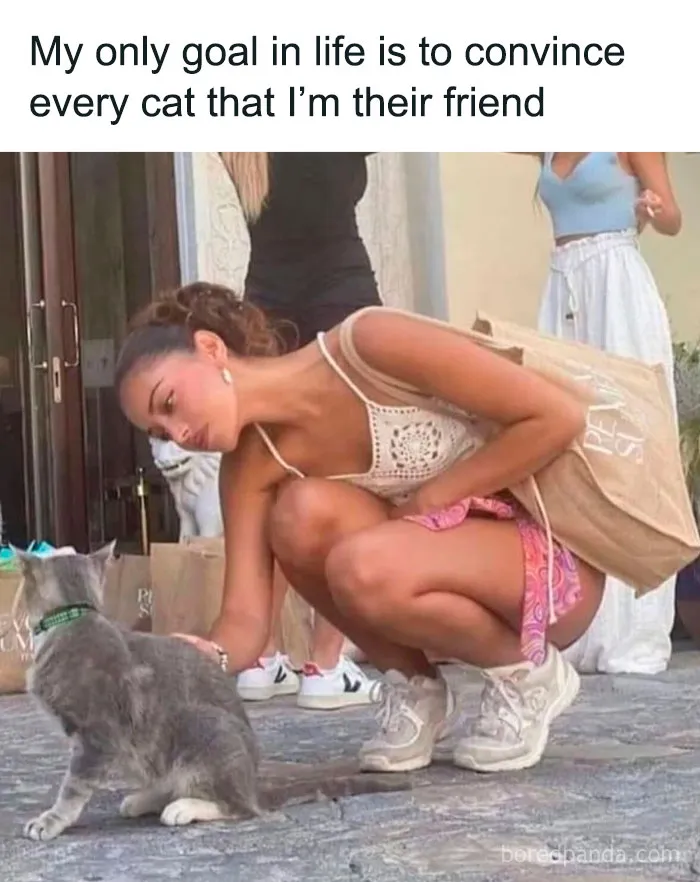 40 Random Memes To Fill Your Sarcastic Heart With Joy (New Pics)
