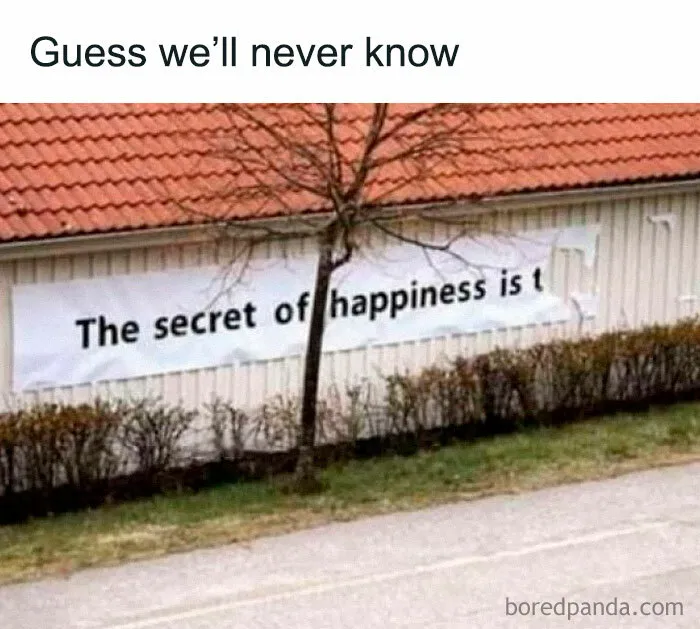 Amusing-Sarcasm-Memes