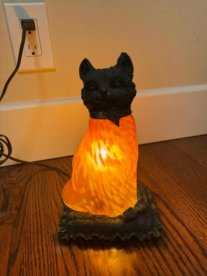 Found This Cat Amber Glass Lamp At A Local Thrift Store