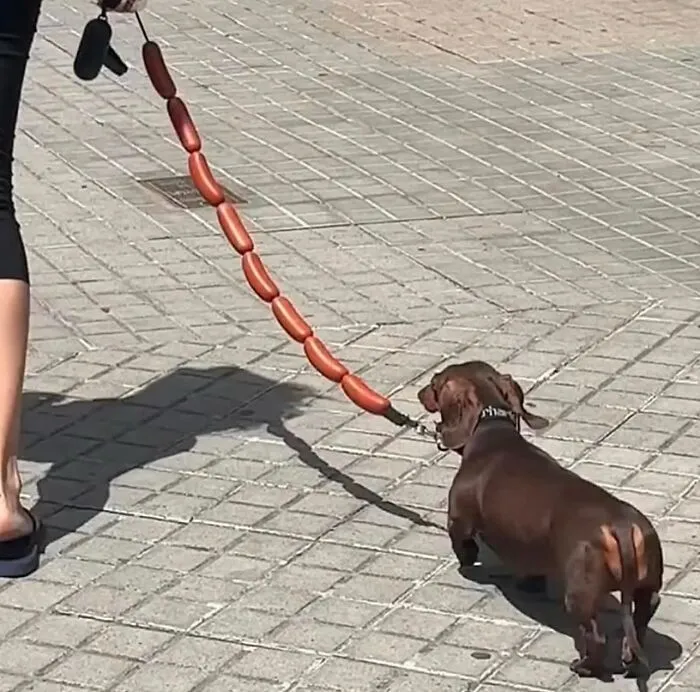 “Disturbing Zone”: 50 Pics From This Instagram Page That’s Dedicated To Sharing Weird Things