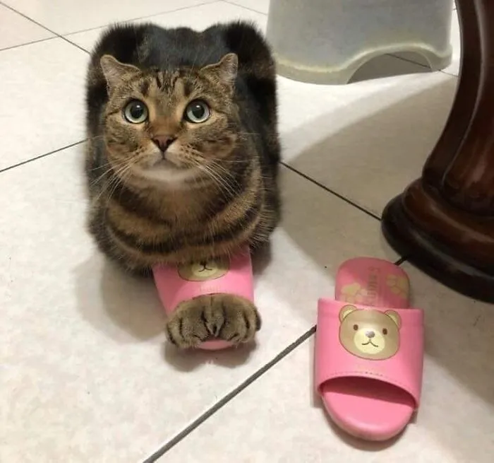 “Disturbing Zone”: 50 Pics From This Instagram Page That’s Dedicated To Sharing Weird Things