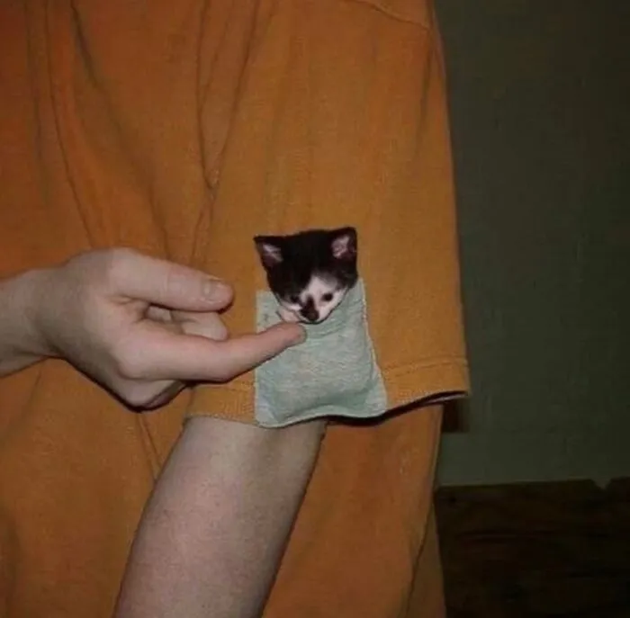 “Disturbing Zone”: 50 Pics From This Instagram Page That’s Dedicated To Sharing Weird Things