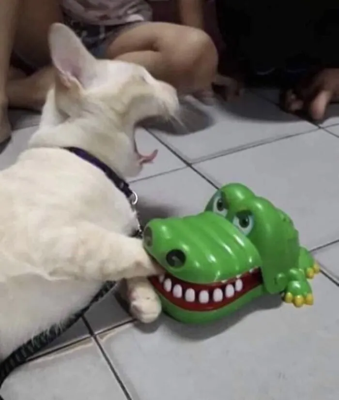 “Disturbing Zone”: 50 Pics From This Instagram Page That’s Dedicated To Sharing Weird Things