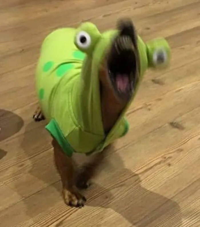 “Disturbing Zone”: 50 Pics From This Instagram Page That’s Dedicated To Sharing Weird Things