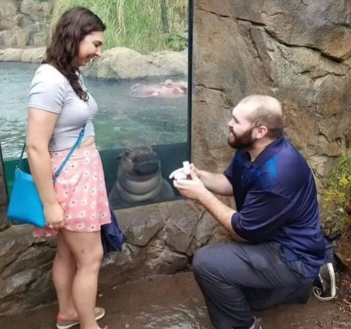 “Disturbing Zone”: 50 Pics From This Instagram Page That’s Dedicated To Sharing Weird Things