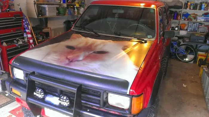 Red truck with an oversized close-up cat face on the hood parked in a cluttered garage, creating an unusual visual effect.